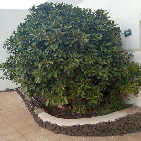 Betancuría Aguas Verdes מראה חיצוני תמונה